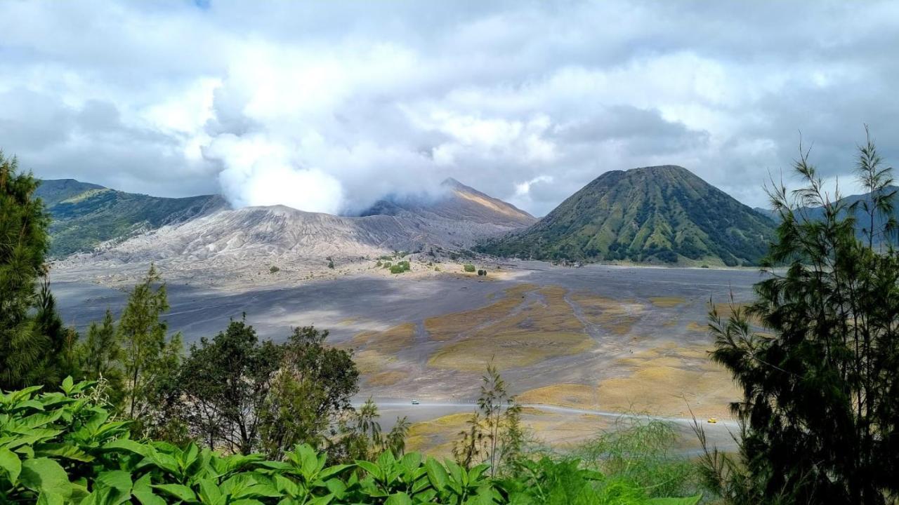 Dannu'S Homestay Ijen And Bromo Tour Banyuwangi  Dış mekan fotoğraf