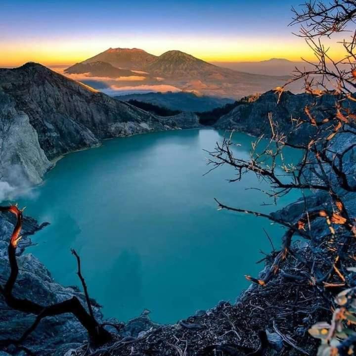 Dannu'S Homestay Ijen And Bromo Tour Banyuwangi  Dış mekan fotoğraf