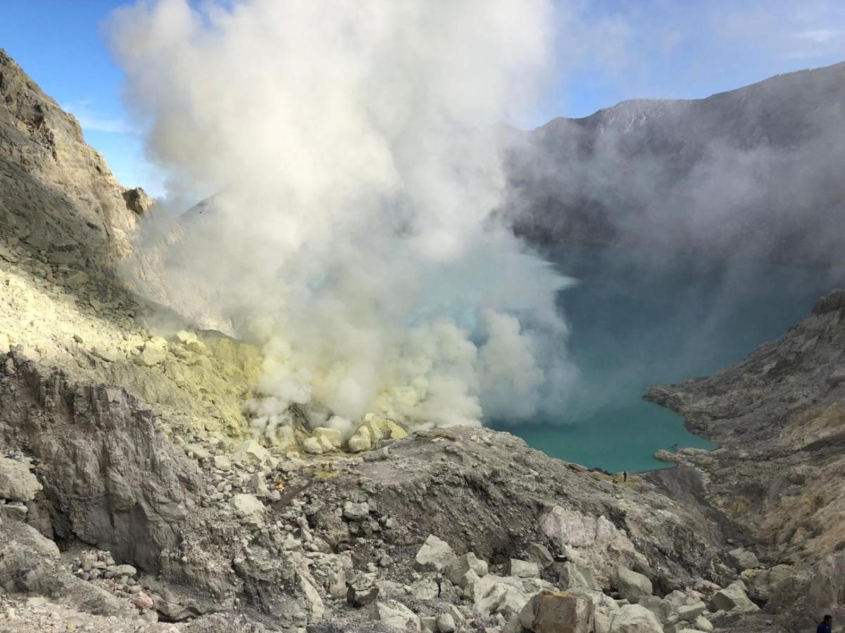 Dannu'S Homestay Ijen And Bromo Tour Banyuwangi  Dış mekan fotoğraf
